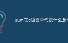 sum在c语言中代表什么意思