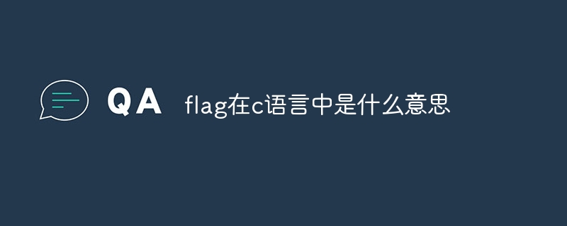 flag在c語言中是什麼意思