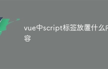 vue中script标签放置什么内容