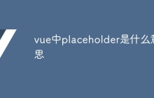 vue中placeholder是什么意思