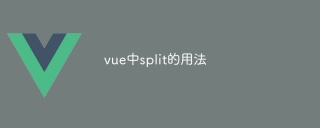 How to use split in vue