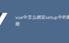 vue中怎么绑定setup中的数据
