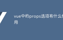 vue中的props选项有什么作用