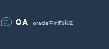 How to use in in oracle