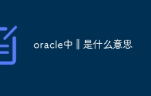 oracle中‖是什么意思
