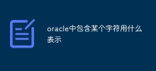 oracle中包含某个字符用什么表示