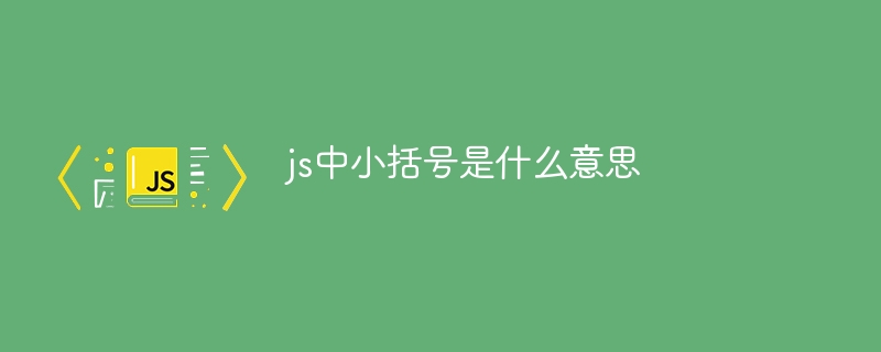 js中小括号是什么意思