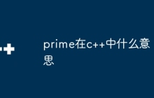 prime在c++中什么意思