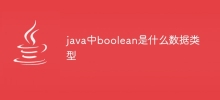 java中boolean是什么数据类型