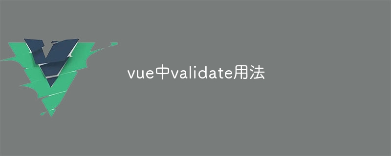 vue中validate用法