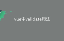 vue中validate用法