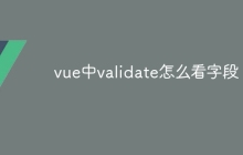 vue中validate怎么看字段