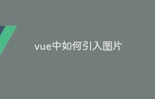 vue中如何引入图片