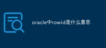 OracleにおけるROWIDは何を意味しますか