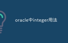 oracle中integer用法