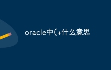 oracle中(+什么意思