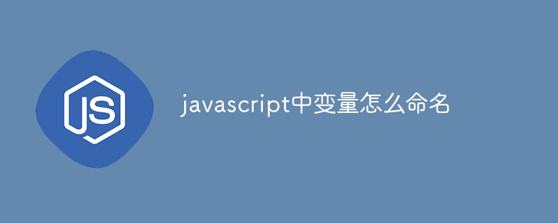 javascript中变量怎么命名