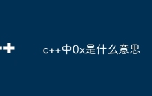 c++中0x是什么意思
