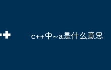 c++中~a是什么意思