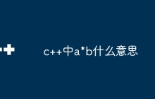 c++中a*b什么意思