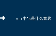 c++中*a是什么意思