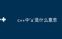 c++中'a'是什么意思