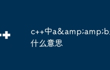 c++中a&amp;b是什么意思