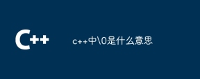 c++中\0是什么意思