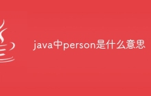 java中person是什么意思