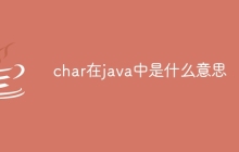char在java中是什么意思