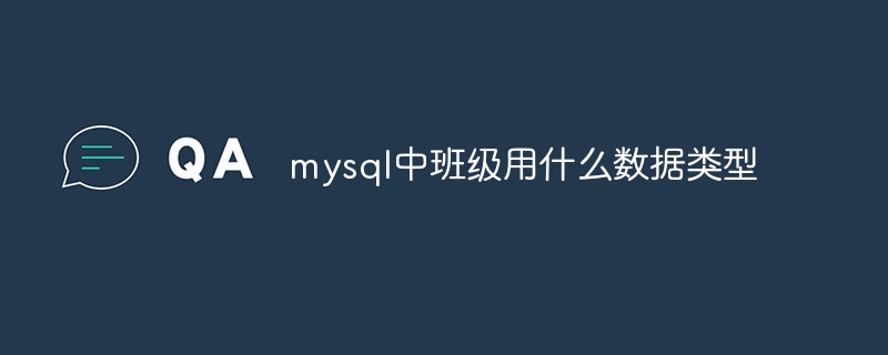 mysql中班級用什麼資料型