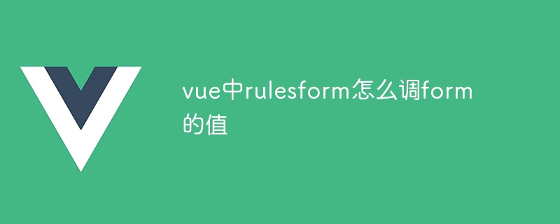 So passen Sie den Wert von „Form“ in „RulesForm“ in Vue an