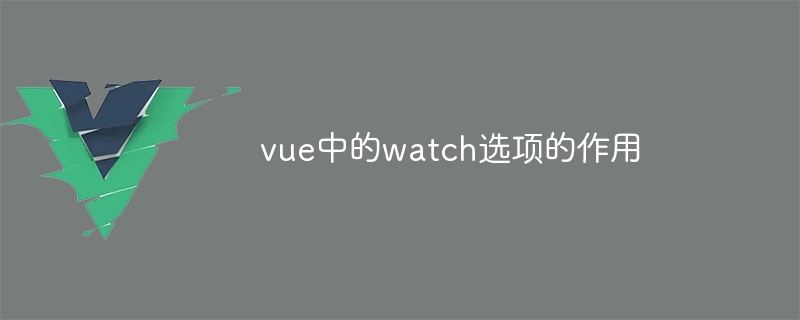 vue中的watch选项的作用