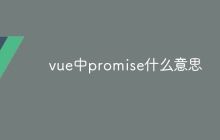 vue中promise什么意思