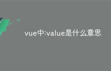 vue中:value是什么意思
