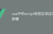 vue中的script标签应该应该放哪