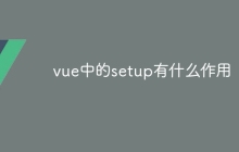 vue中的setup有什么作用