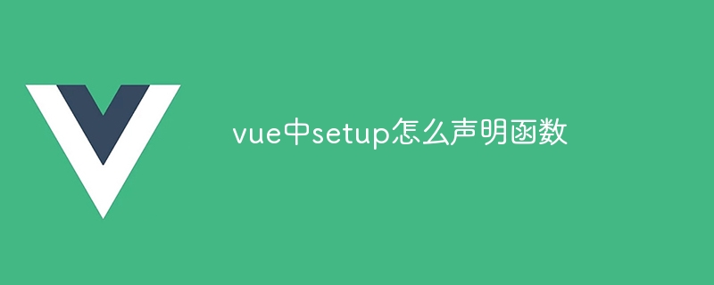 How to declare functions in setup in vue