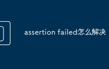 assertion failed怎么解决