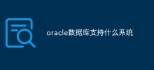 oracle数据库支持什么系统
