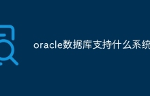 oracle数据库支持什么系统