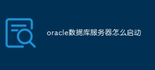 oracle資料庫伺服器怎麼啟動