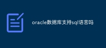oracle資料庫支援sql語言嗎