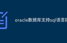 oracle数据库支持sql语言吗