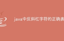 java中反斜杠字符的正确表示