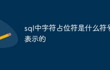 sql中字符占位符是什么符号表示的