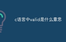 c语言中valid是什么意思