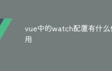 vue中的watch配置有什么作用