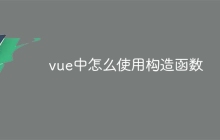 vue中怎么使用构造函数
