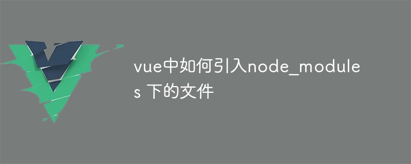 vue中如何引入node_modules 下的文件